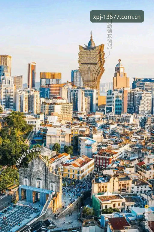 揭秘新浦京娱乐：2026新浦京平台下载背后的真相与实测数据